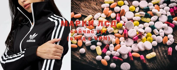 spice Абаза